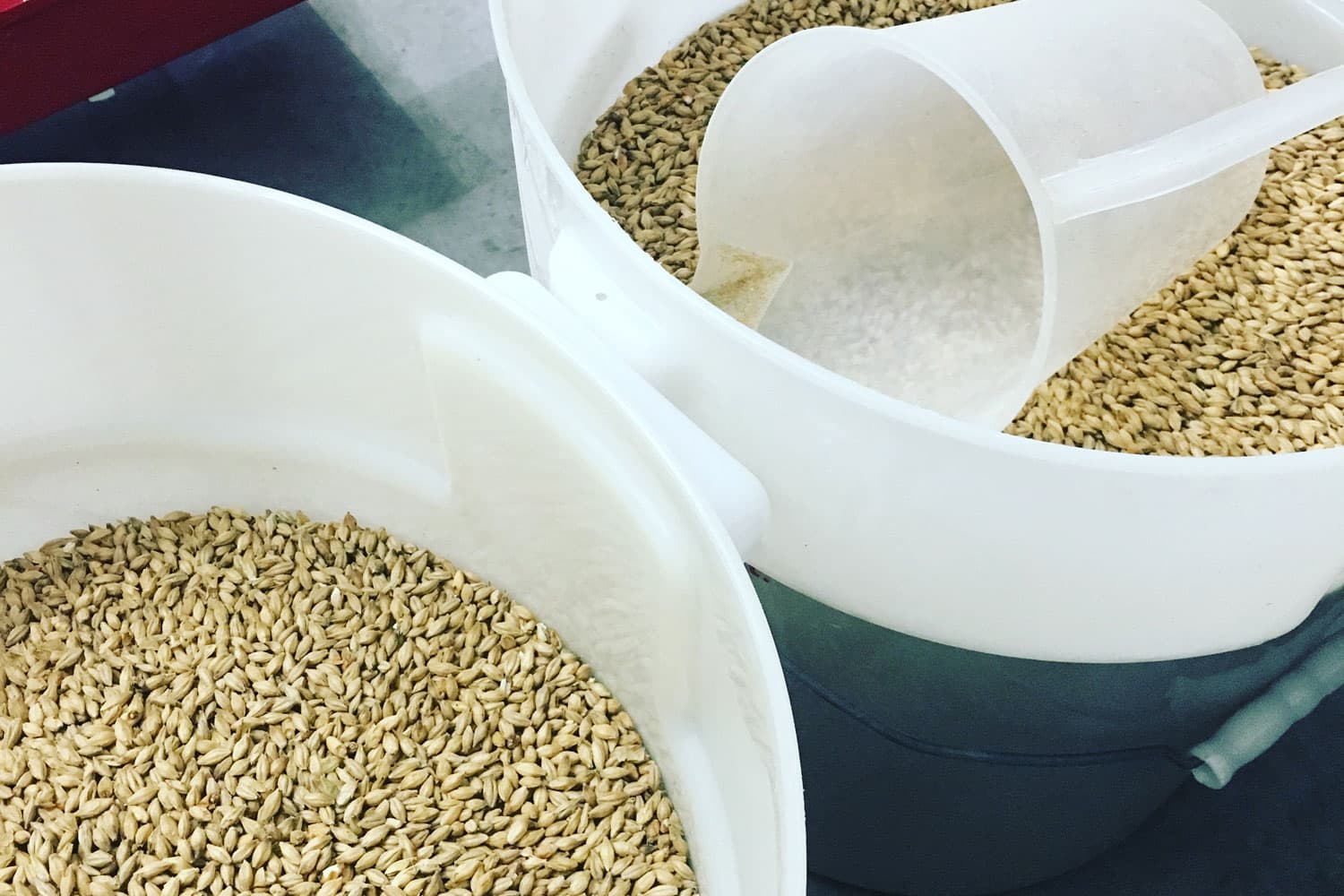 モルト（麦芽）を破砕